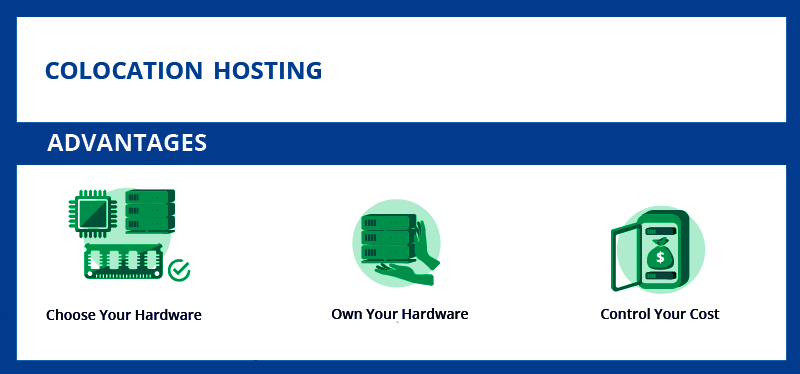 Colocation Hosting Infographic Advantages