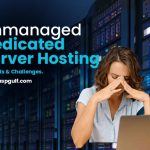 Unmanaged dedicated server hosting