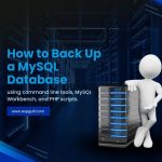 How to Back Up a MySQL Database mysql backup database